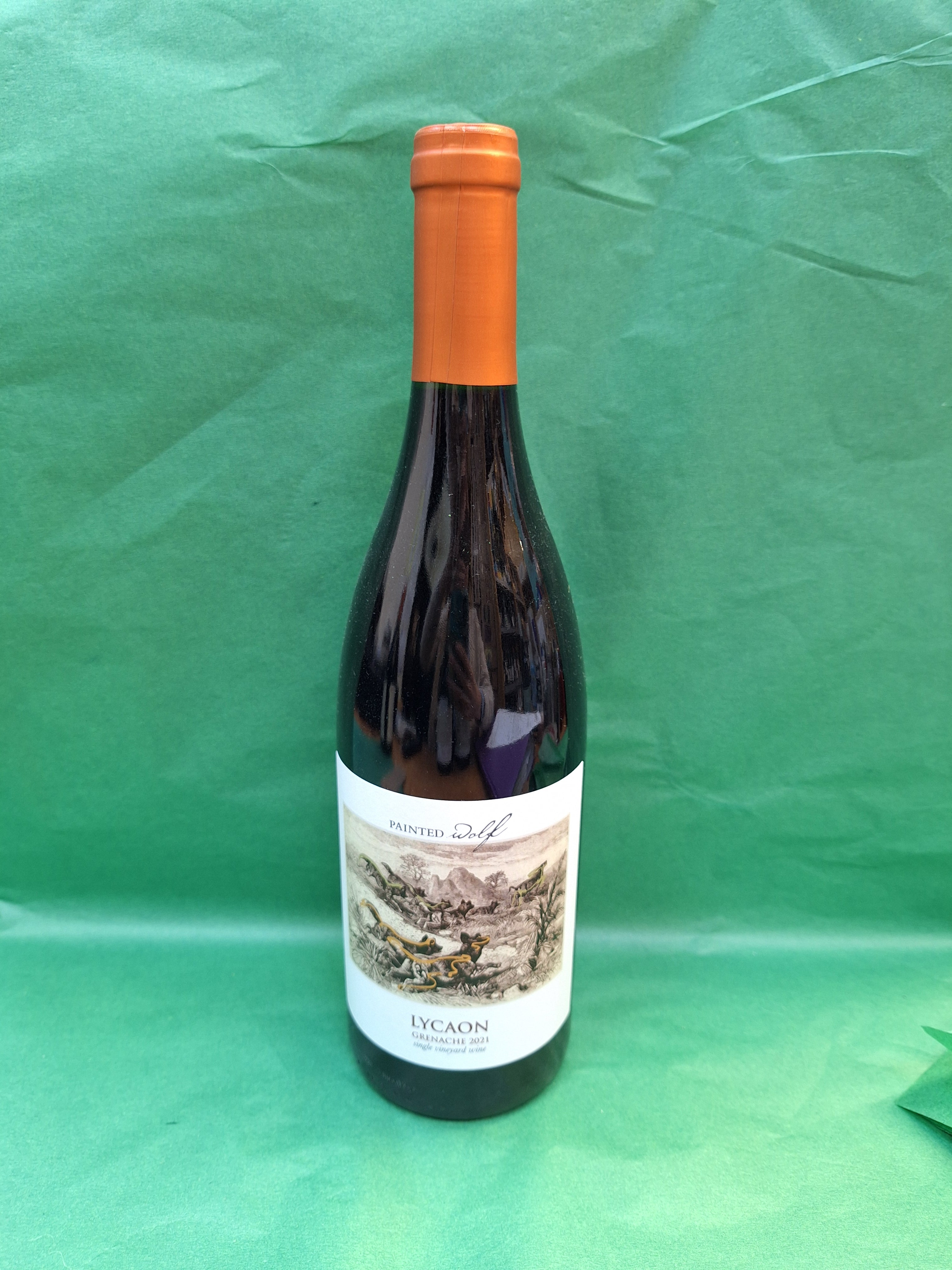 Painted Wolf Lycaon Grenache