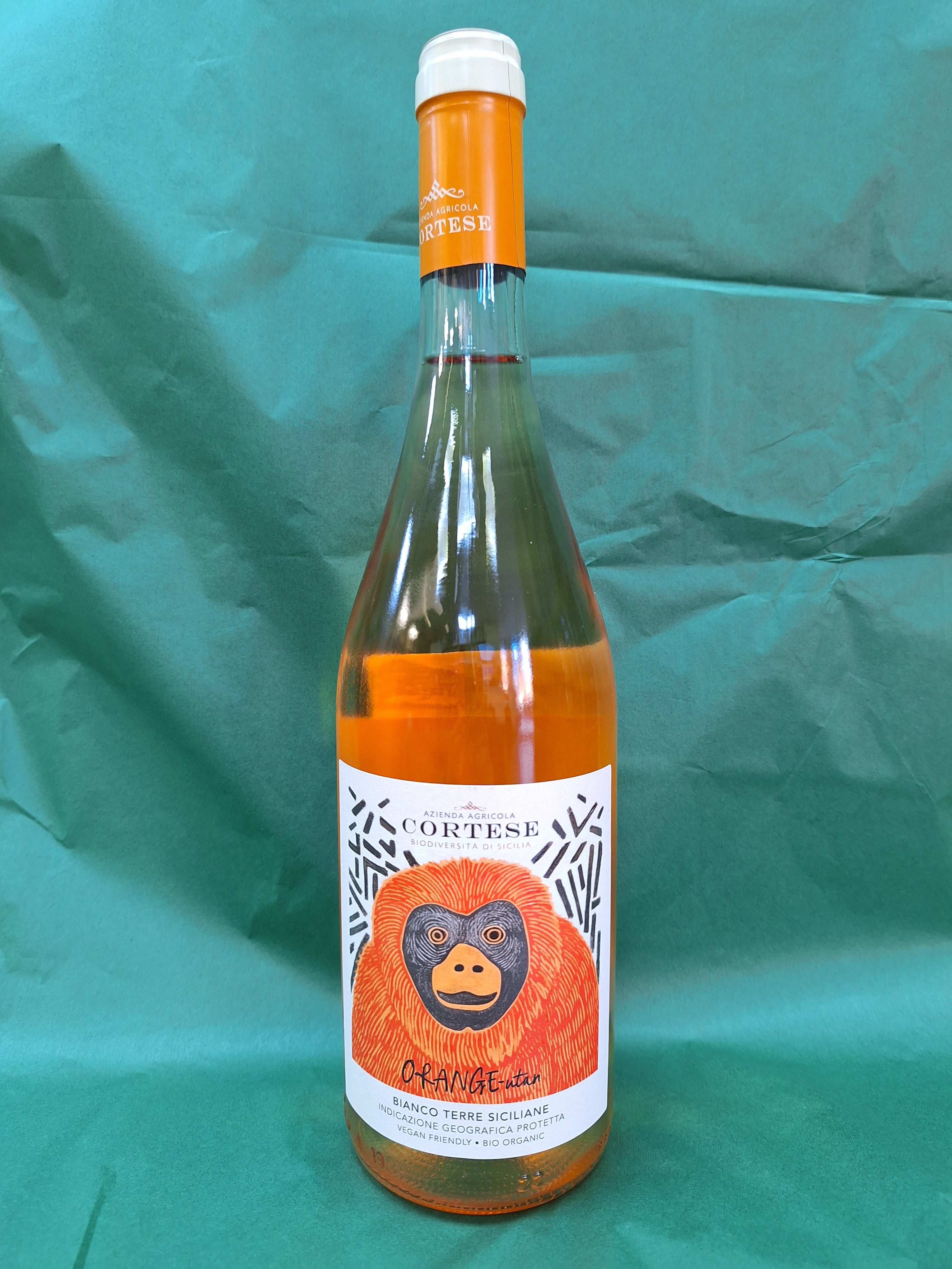 Cortese Orange-Utan